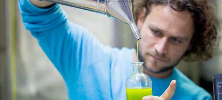 Aiolos Faires Olivenöl Qualität vor Quantität